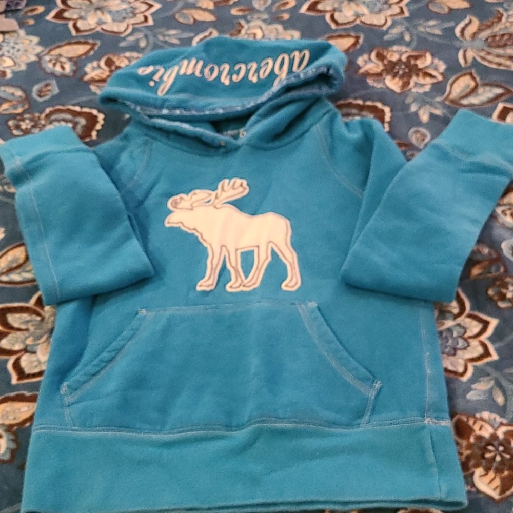 Abercrombie Hooded sweatshirt Size SMALL